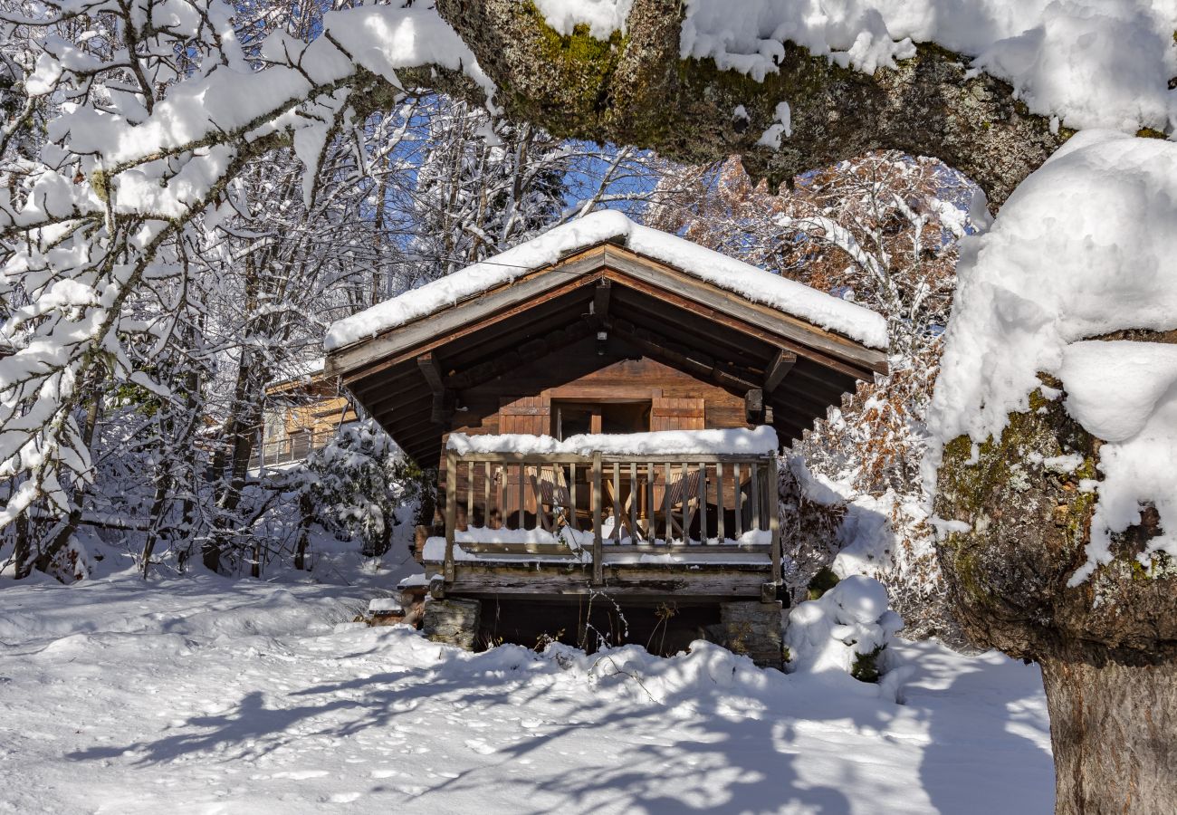 Cabane à Chamonix-Mont-Blanc - Brigitte's Mazot au centre de Chamonix