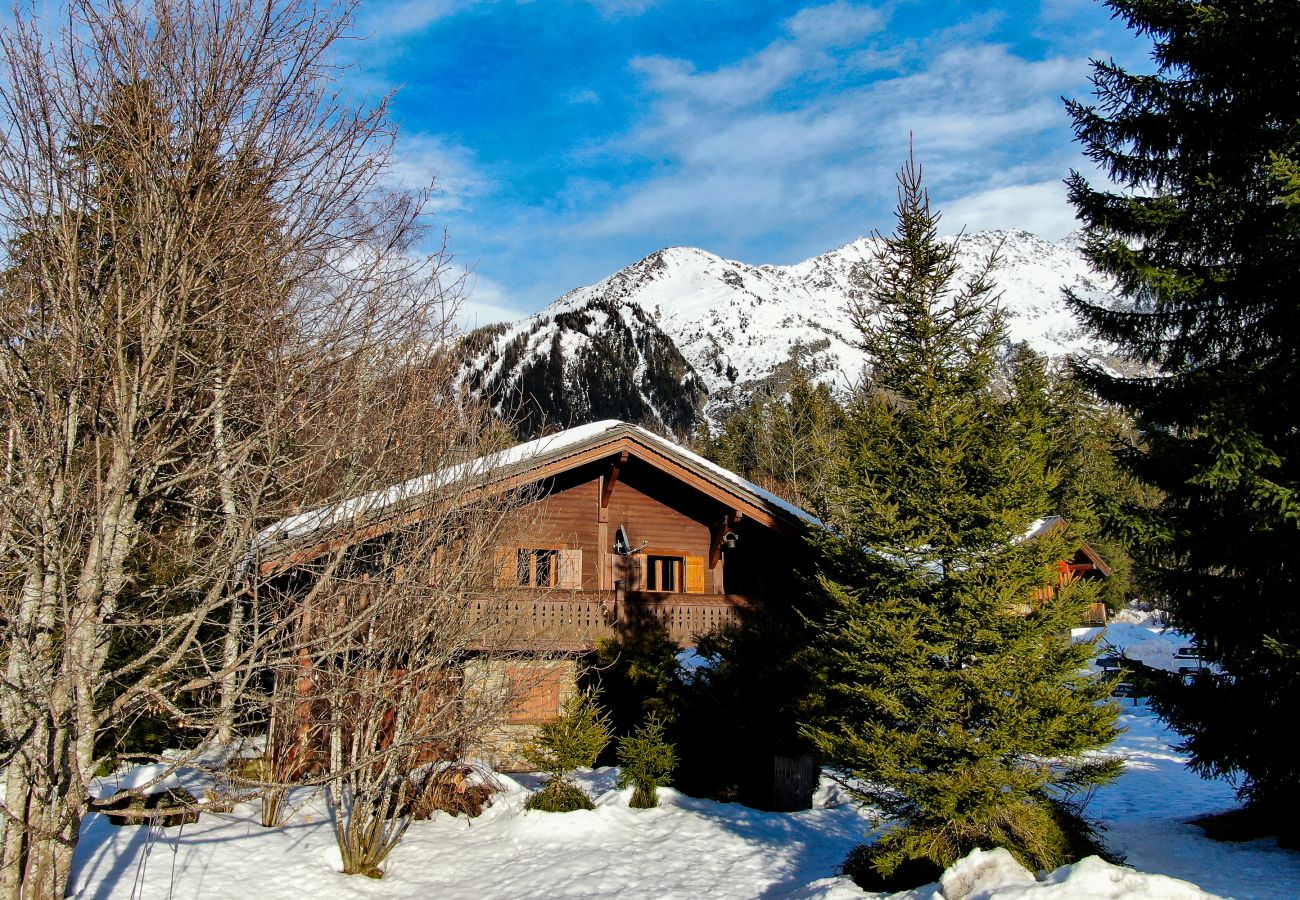 Appartement à Argentière - Apt Grands Montets