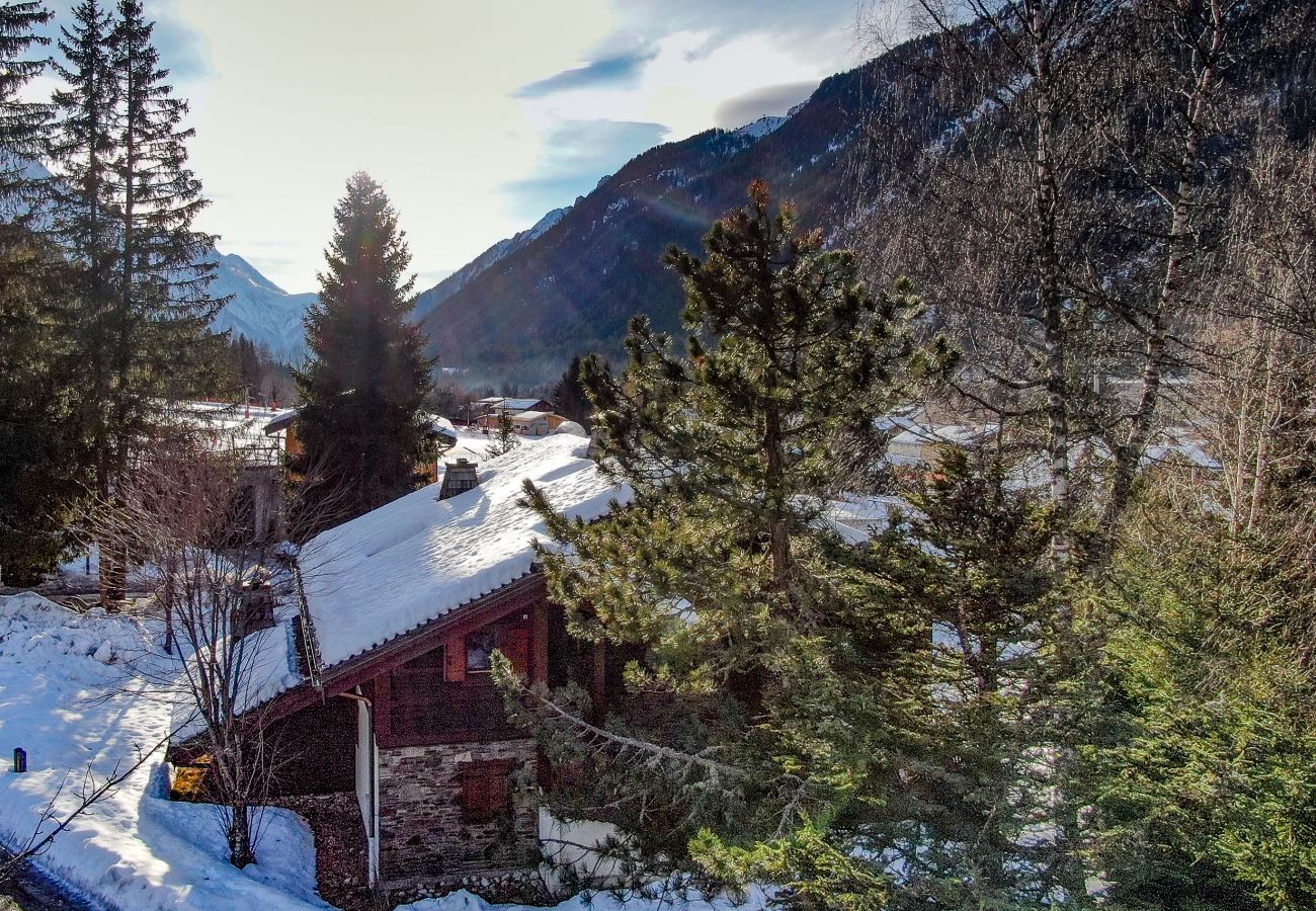 Appartement à Argentière - Apt Grands Montets