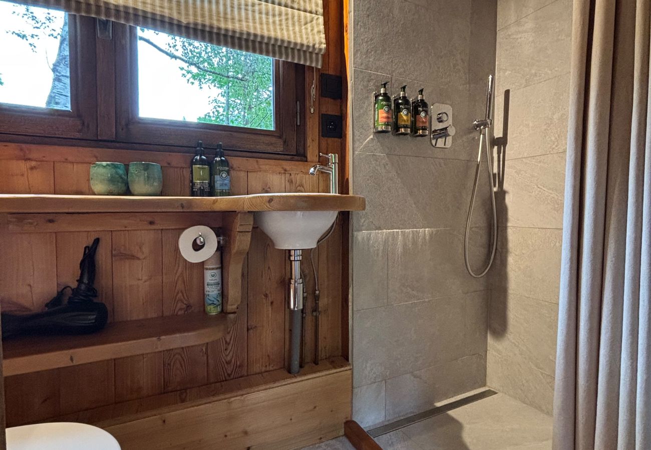 Cabin in Chamonix-Mont-Blanc - Mazot Les Tines, with hot tub