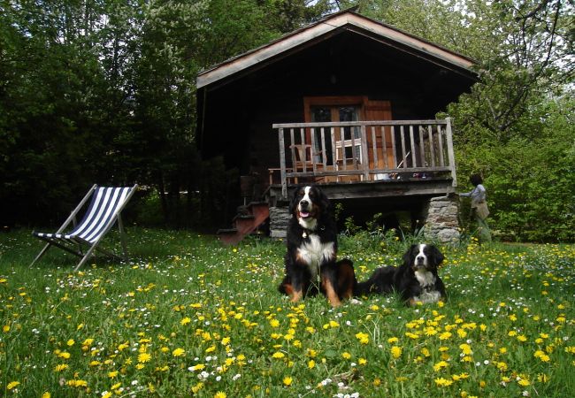 Cabin in Chamonix-Mont-Blanc - Brigitte's Mazot in central Chamonix
