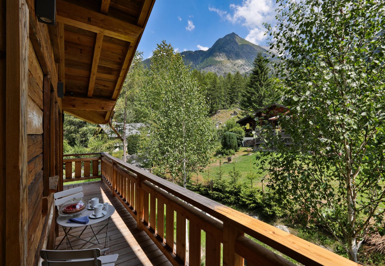 Chalet in Chamonix-Mont-Blanc - Chalet Black Squirrel 