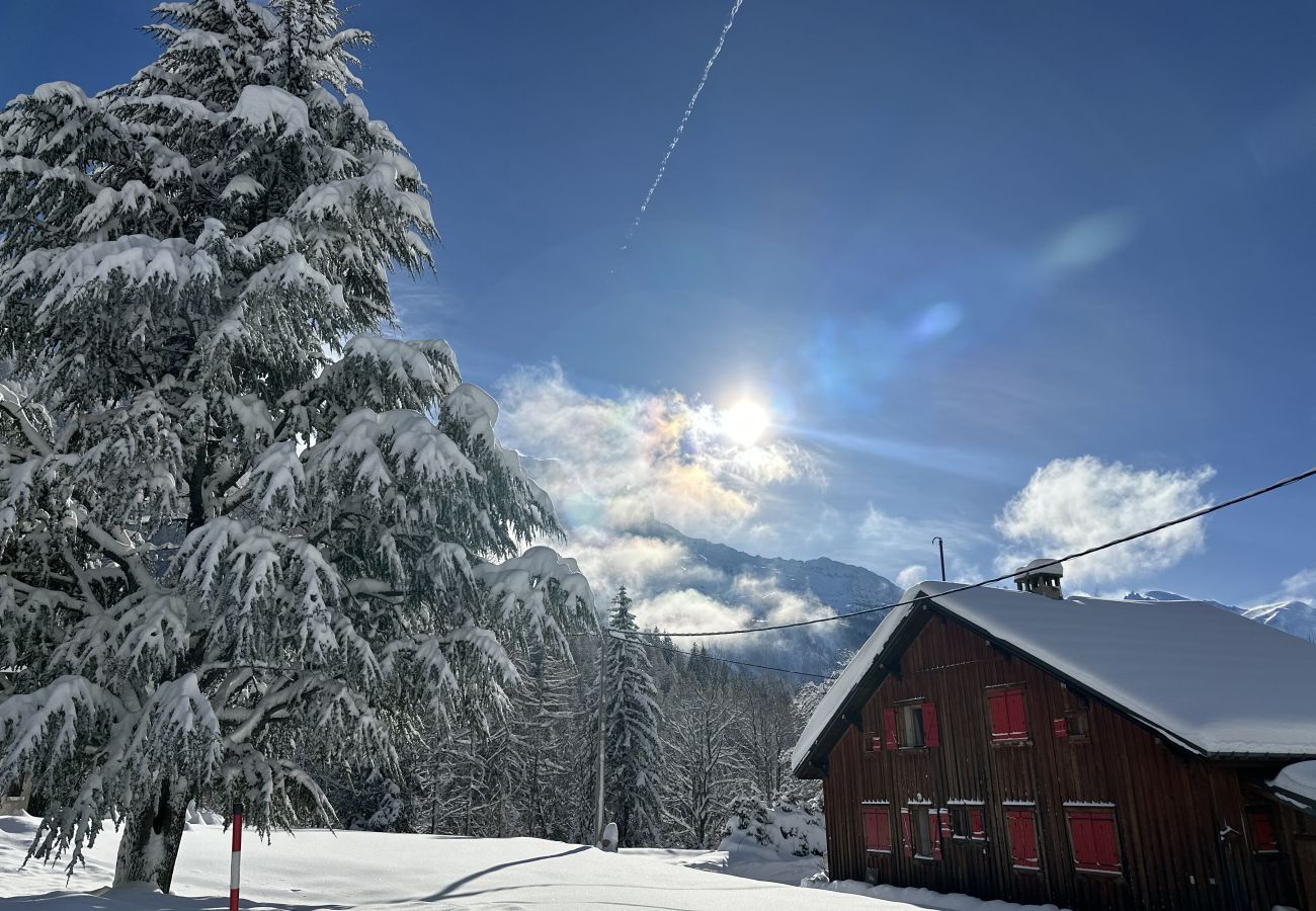 Chalet in Chamonix-Mont-Blanc - Chalet Guapa, mountain escape with hot tub